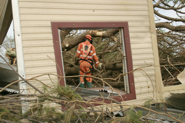  Mount Olive, IL Tree Care Services Pros